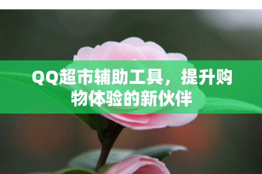 提升购物体验的新伙伴图片