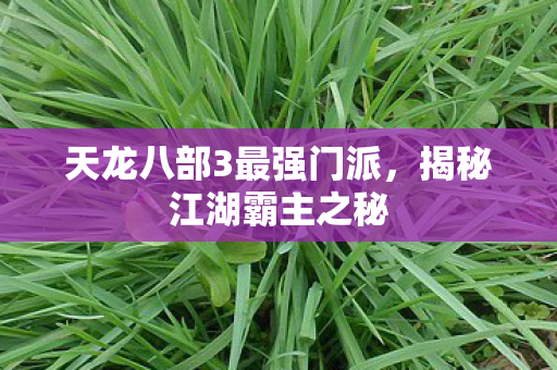 天龙八部3最强门派图片