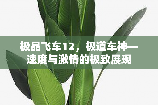 速度与激情的极致展现图片
