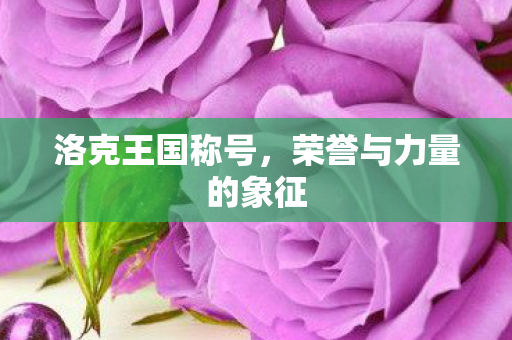 荣誉与力量的象征图片