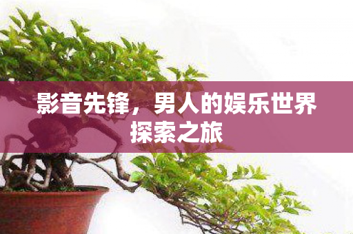 男人的娱乐世界探索之旅图片