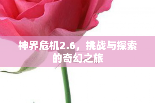 挑战与探索的奇幻之旅图片
