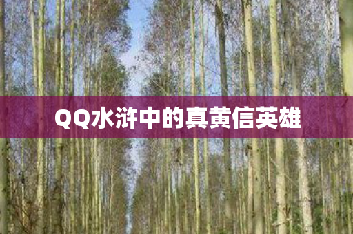 QQ水浒中的真黄信英雄图片