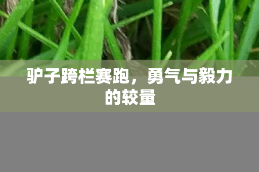 勇气与毅力的较量图片