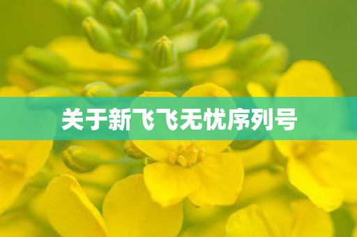 关于新飞飞无忧序列号图片