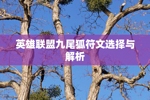 英雄联盟九尾狐符文选择与解析图片