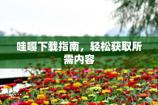 轻松获取所需内容图片