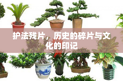 历史的碎片与文化的印记图片