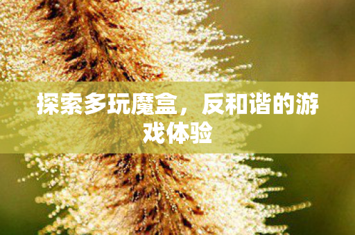 反和谐的游戏体验图片