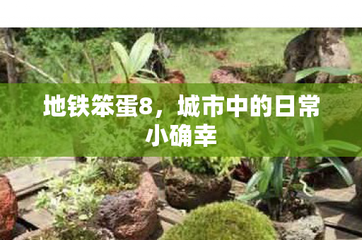 城市中的日常小确幸图片