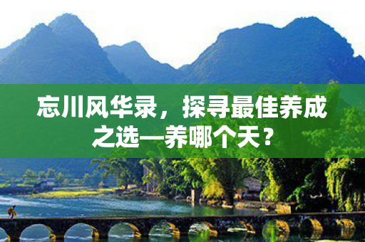 探寻最佳养成之选图片