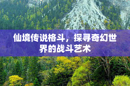 探寻奇幻世界的战斗艺术图片