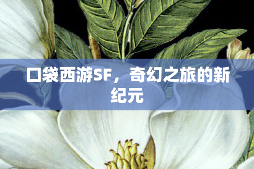 奇幻之旅的新纪元图片