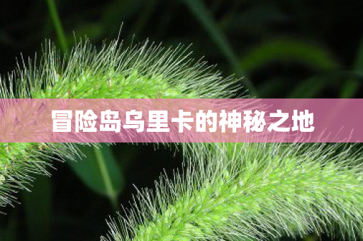 冒险岛乌里卡的神秘之地图片