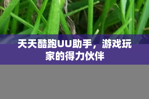 游戏玩家的得力伙伴图片