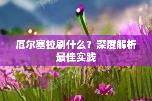深度解析最佳实践图片