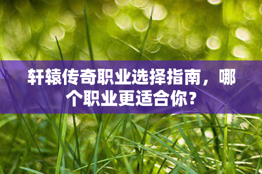 轩辕传奇职业选择指南图片