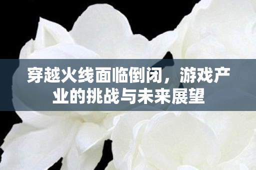 游戏产业的挑战与未来展望图片