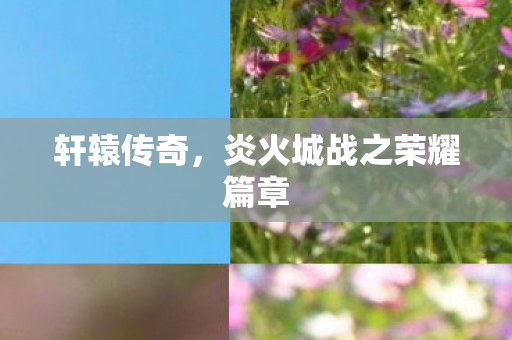 炎火城战之荣耀篇章图片