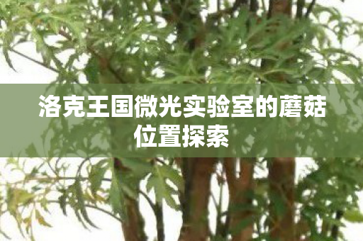 洛克王国微光实验室的蘑菇位置探索图片