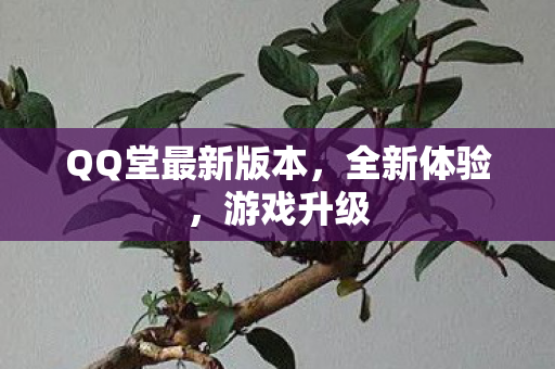 QQ堂最新版本图片