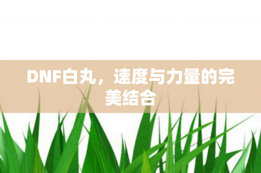 速度与力量的完美结合图片