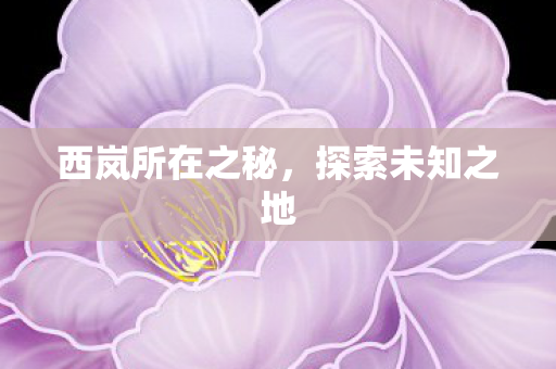 西岚所在之秘,探索未知之地 西岚所在之秘,探索未知之地