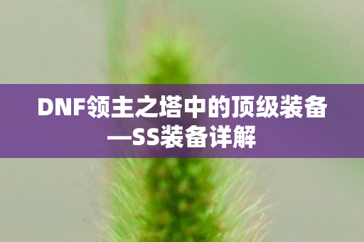 DNF领主之塔中的顶级装备图片