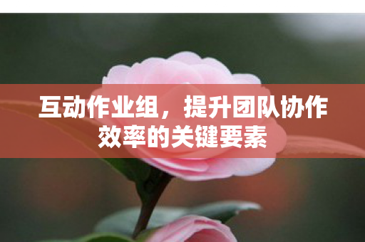 提升团队协作效率的关键要素图片