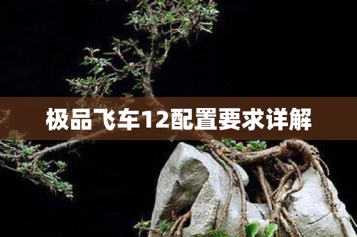 极品飞车12配置要求详解图片
