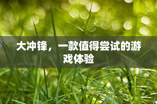 一款值得尝试的游戏体验图片