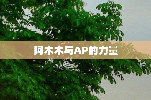 阿木木与AP的力量图片