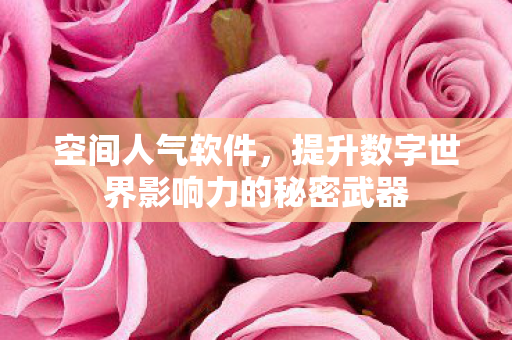 提升数字世界影响力的秘密武器图片