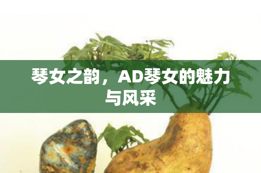 AD琴女的魅力与风采图片
