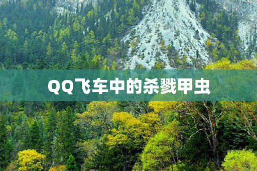 QQ飞车中的杀戮甲虫图片