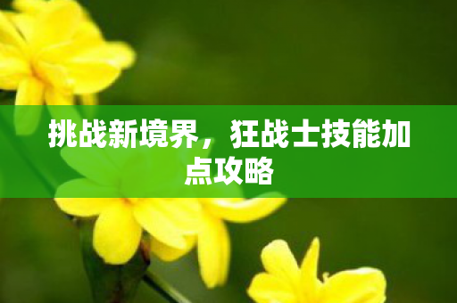 狂战士技能加点攻略图片
