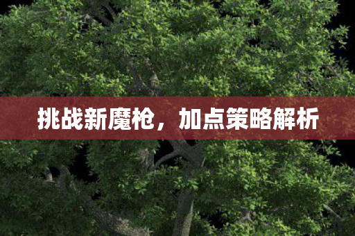 加点策略解析图片