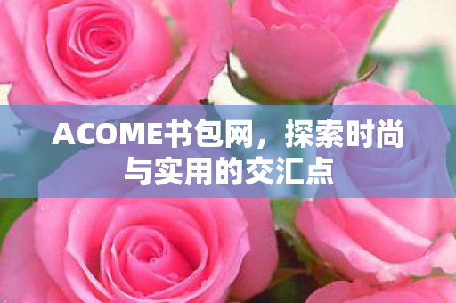 探索时尚与实用的交汇点图片