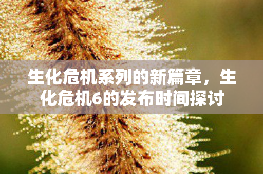 生化危机6的发布时间探讨图片