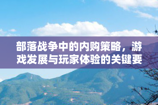 部落战争中的内购策略，游戏发展与玩家体验的关键要素