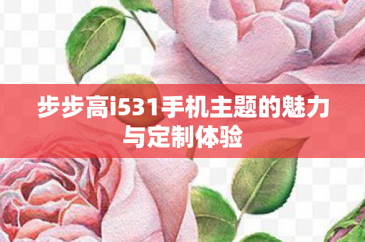 步步高i531手机主题的魅力与定制体验图片