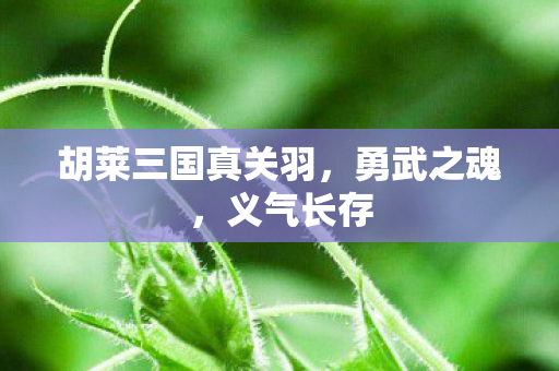 胡莱三国真关羽图片