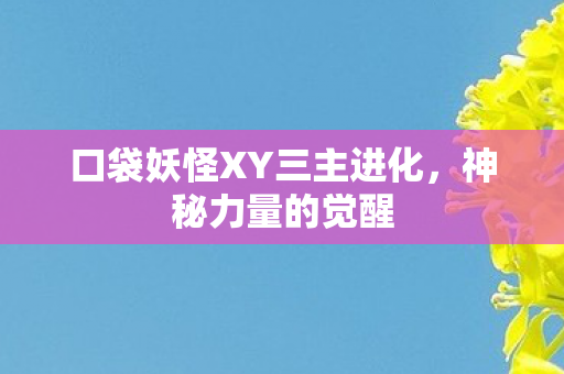 口袋妖怪XY三主进化图片