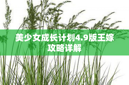 美少女成长计划4图片