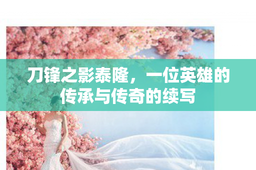 一位英雄的传承与传奇的续写图片
