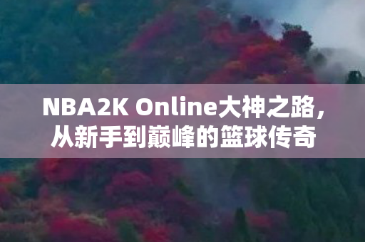 NBA2K Online大神之路,从新手到巅峰的篮球传奇 NBA2K Online大神之路,从新手到巅峰的篮球传奇