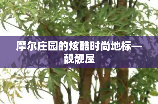 摩尔庄园的炫酷时尚地标图片