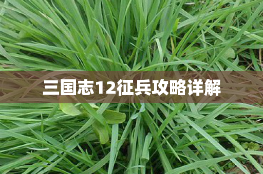 三国志12征兵攻略详解图片