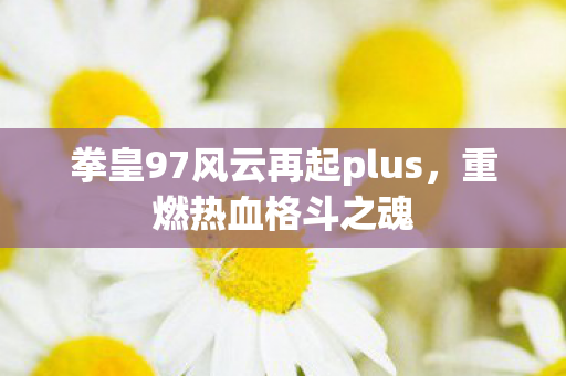 拳皇97风云再起plus图片