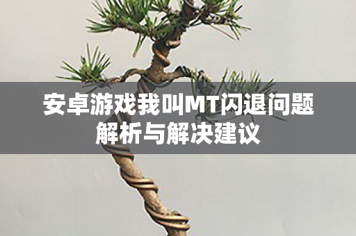 安卓游戏我叫MT闪退问题解析与解决建议图片
